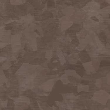 22_355_prt_caspiancoral